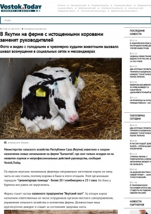 Обложка Электронного документа: В Якутии на ферме с истощенными коровами заменят руководителей. Фото и видео с голодными и чрезмерно худыми животными вызвало шквал возмущения в социальных сетях и мессенджерах