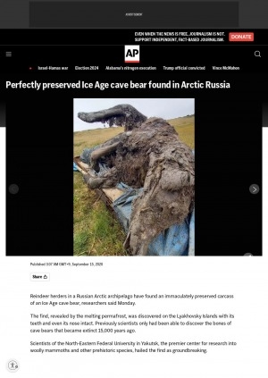 Обложка электронного документа Perfectly preserved Ice Age cave bear found in Arctic Russia