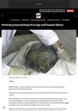 Обложка электронного документа Perfectly preserved head of Ice Age wolf found in Siberia