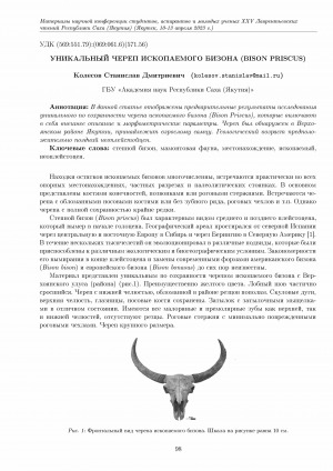Обложка электронного документа Уникальный череп ископаемого бизона (bison priscus)