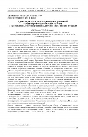 Обложка Электронного документа: Адаптация двух видов древесных растений - Betula pubescens и Salix udensisк условиям высокоширотной Арктики (пос. Тикси, Россия) = Adaptation of two woody plant species – Betulapubescens and Salix udensis to the high Arcticconditions (Tiksi settlement, Russia)