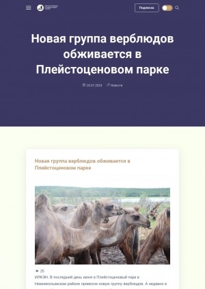 Обложка электронного документа Новая группа верблюдов обживается в Плейстоценовом парке