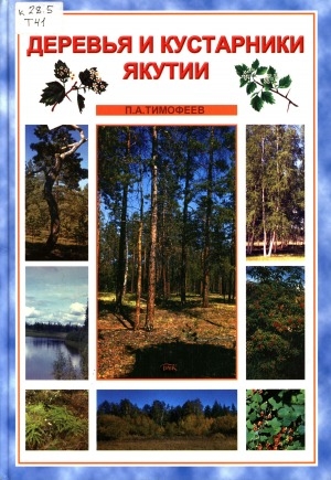 Обложка электронного документа Деревья и кустарники Якутии