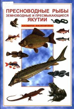 Обложка электронного документа Пресноводные рыбы, земноводные и пресмыкающиеся Якутии: (справочник-опредилитель)