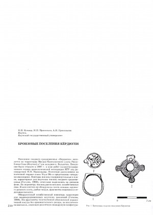 Обложка электронного документа Бронзовые поселения Кёрдюген