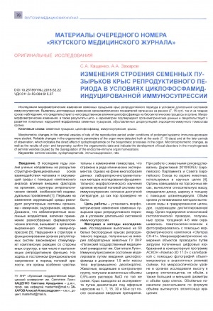 Обложка Электронного документа: Измерения строения семенных пузырьков крыс репродуктивного периода в условиях циклофосфамид-индуцированной иммуносупрессии