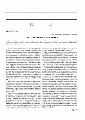 Обложка электронного документа Стратегия охраны Adonis sibirica <br>Strategy of conservation for Adonis sibirica