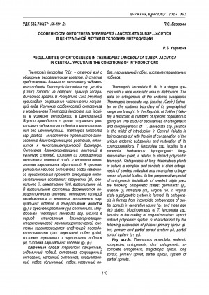 Обложка электронного документа Особенности онтогенеза Thermopsis lanceolata subsp. jacutica в Центральной Якутии в условиях интродукции