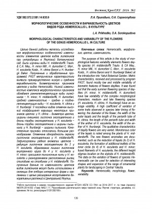 Обложка электронного документа Морфологические особенности и вариабельность цветков видов рода Hemerocallis L. в культуре