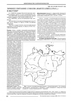 Обложка электронного документа Зимнее питание соболя (Martes zibellina L.) в Якутии