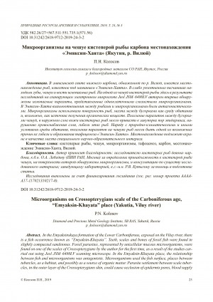 Обложка электронного документа Микроорганизмы на чешуе кистеперой рыбы карбона местонахождения "Эмяксин-Хаята" (Якутия, р. Вилюй) <br>Microorganisms on Crossopterygians scale of the Carboniferous age, “Emyaksin-Khayata” place (Yakutia, Viluy river)