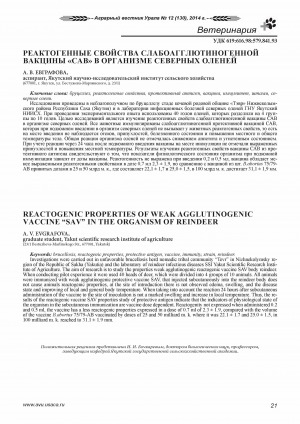 Обложка электронного документа Реактогенные свойства слабоагглютиногенной вакцины "САВ" в организме северных оленей <br>Reactogenic properties of weak agglutinogenic vaccine “SAV” in the organism of reindeer
