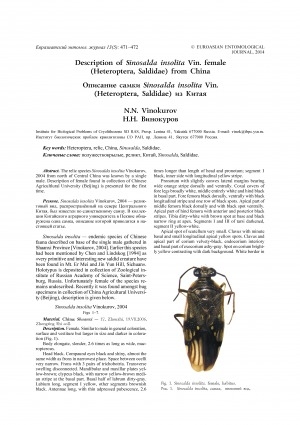 Обложка электронного документа Description of Sinosalda insolita Vin. female (Heteroptera, Saldidae) from China <br>Описание самки Sinosalda insolita Vin. (Heteroptera, Saldidae) из Китая
