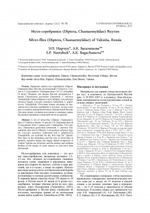 Обложка электронного документа Мухи-серебрянки (Diptera, Chamaemyiidae) Якутии <br>Silver-flies (Diptera, Chamaemyiidae) of Yakutia, Russia