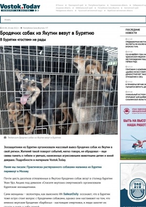 Обложка электронного документа Бродячих собак из Якутии везут в Бурятию. В Бурятии "гостям" не рады