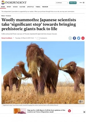 Обложка электронного документа Woolly mammoths: Japanese scientists take ‘significant step’ towards bringing prehistoric giants back to life: [with comments of the researcher Kei Miyamoto]
