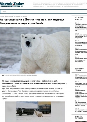 Обложка Электронного документа: Автоугонщиками в Якутии чуть не стали медведи. Полярные мишки заглянули в кузов КамАЗа