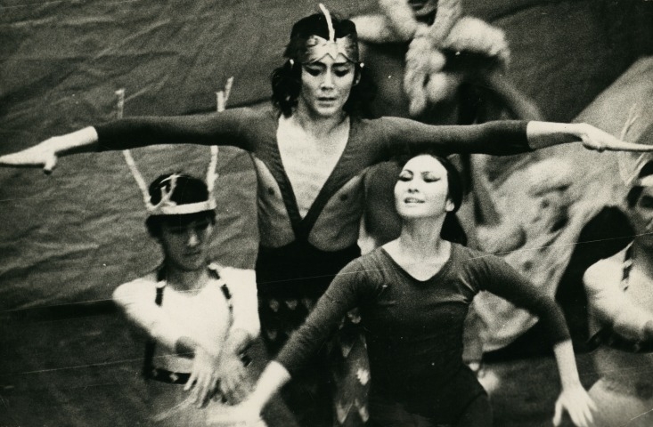 Обложка электронного документа Геннадий Баишев, Наталья Христофорова в балете "Орлы летят на Север": [фотография]