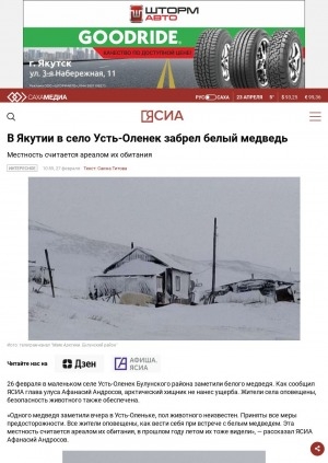 Обложка Электронного документа: В Якутии в село Усть-Оленек забрел белый медведь
