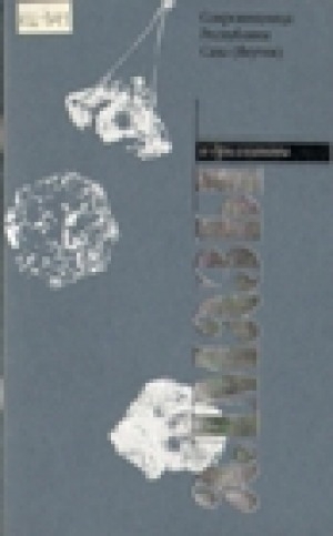 Обложка электронного документа Алмазы и бриллианты: альбом