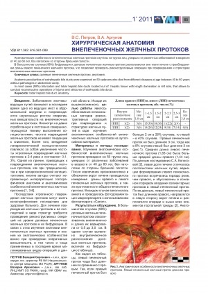 Обложка Электронного документа: Хирургическая анатомия внепеченочных желчных протоков