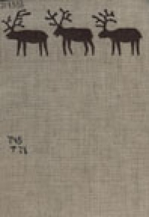 Обложка Электронного документа: Тропою северных оленей: декоративно-прикладное искусство народов Крайнего Севера