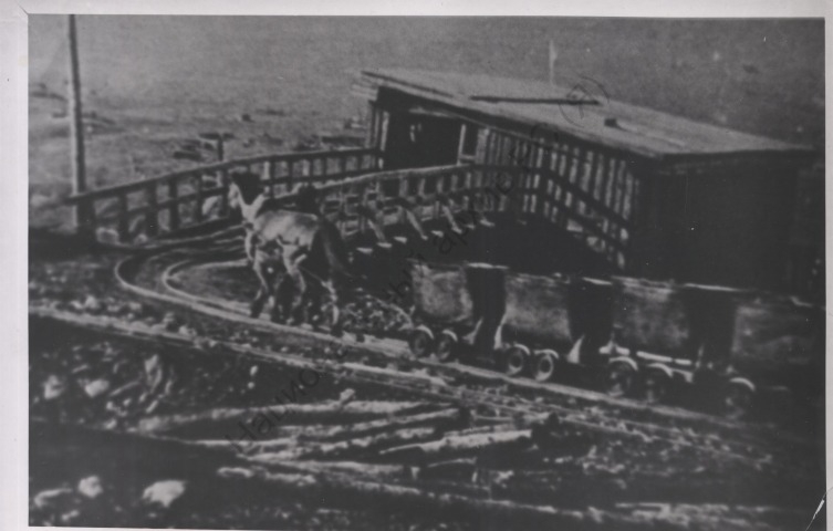 Обложка Электронного документа: Добыча олова на шахте "Эге-Хая". Первые тонны эге-хайского олова были добыты в 1938: фотография