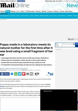 Обложка электронного документа Puppy made in a laboratory meets its natural mother for the first time after it was bred using a small fragment of her ear