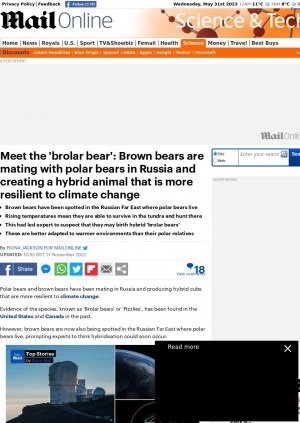 Обложка электронного документа Meet the 'brolar bear': Brown bears are mating with polar bears in Russia and creating a hybrid animal that is more resilient to climate change: [comments of а biologist at the Siberian Branch of the Russian Academy of Sciences (SBRAS) Dr Innokentiy Okhlopkov]