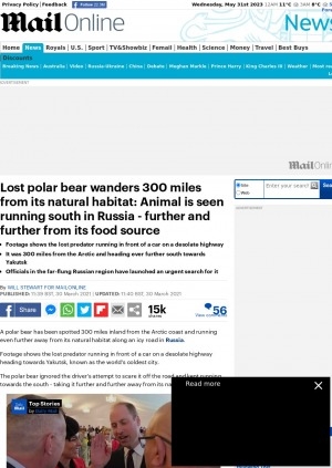 Обложка Электронного документа: Lost polar bear wanders 300 miles from its natural habitat: Animal is seen running south in Russia - further and further from its food source: [comments of the regional ecology minister Sakhamin Afanasyev]