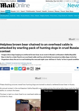 Обложка Электронного документа: Helpless brown bear chained to an overhead cable is attacked by snarling pack of hunting dogs in cruel Russian contest