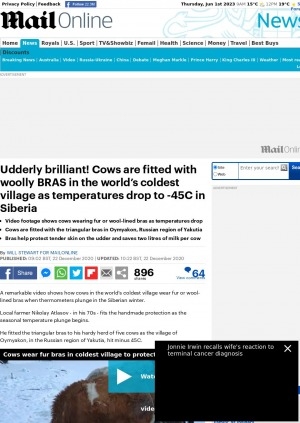 Обложка Электронного документа: Udderly brilliant! Cows are fitted with woolly bras in the world’s coldest village as temperatures drop to -45C in Siberia