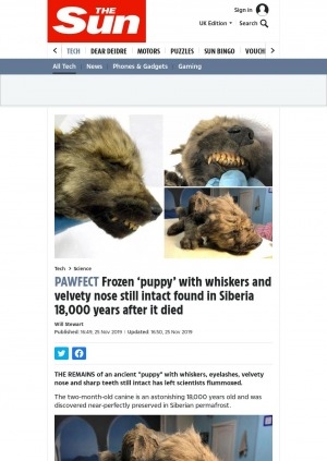 Обложка Электронного документа: Pawfect Frozen ‘puppy’ with whiskers and velvety nose still intact found in Siberia 18,000 years after it died: [comment of the scientist of the Institute of Applied Ecology of the North, at Russia’s North-Eastern Federal University Dr Sergey Fedorov]