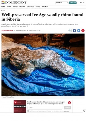 Обложка Электронного документа: Well-preserved Ice Age woolly rhino found in Siberia: [with comments of the paleontologist with the regional branch of the Russian Academy of Sciences Valery Plotnikov]