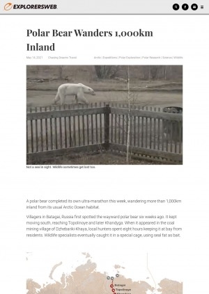 Обложка электронного документа Polar bear wanders 1,000km inland