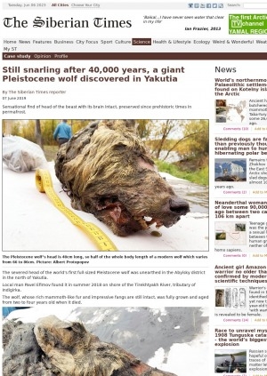 Обложка Электронного документа: Still snarling after 40,000 years, a giant Pleistocene wolf discovered in Yakutia: [with comments of the head of the department for the study of mammoth fauna of the Yakutian branch of the Russian Academy of Sciences Dr Albert Protopopov, a professor of palaeontology and medicine with the Jikei University School of Medicine in Tokyo Naoki Suzuki]