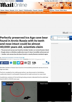 Обложка электронного документа Perfectly preserved Ice Age cave bear found in Arctic Russia with its teeth and nose intact could be almost 40,000 years old, scientists claim
