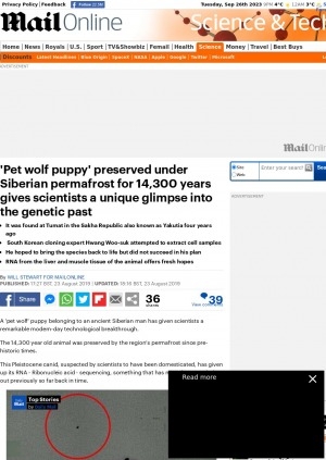 Обложка Электронного документа: 'Pet wolf puppy' preserved under Siberian permafrost for 14,300 years gives scientists a unique glimpse into the genetic past