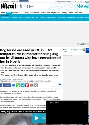 Обложка электронного документа Dog found encased in ICE in -54C temperatures is freed after being dug out by villagers who have now adopted her in Siberia