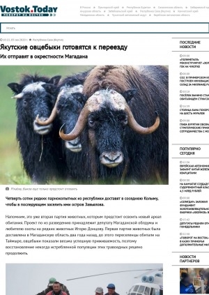 Обложка Электронного документа: Якутские овцебыки готовятся к переезду. Их отправят в окрестности Магадана